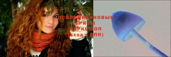 таблы Лиски