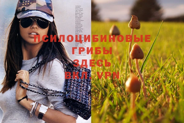 гидропоника Лихославль