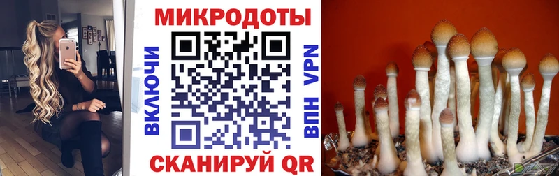 Псилоцибиновые грибы GOLDEN TEACHER  где продают   Оханск 